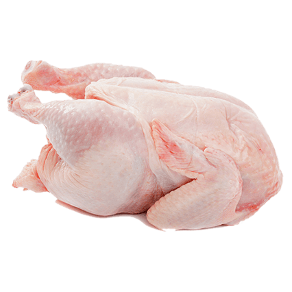 Frozen Proteins