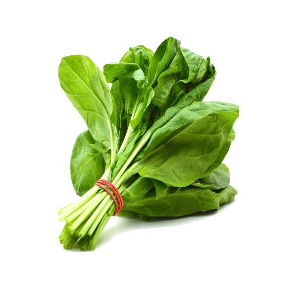 Fresh Vegetables