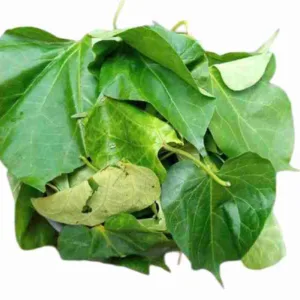 Fresh Utazi