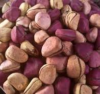 KolaNut (1 Lobe)