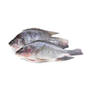 Uncut Tilapia