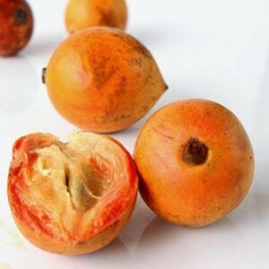 Agbalumo - African Star Apple (12pcs)
