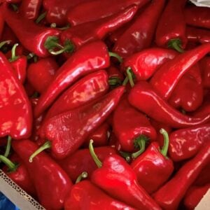 Frozen Crimson Pepper (Shombo)
