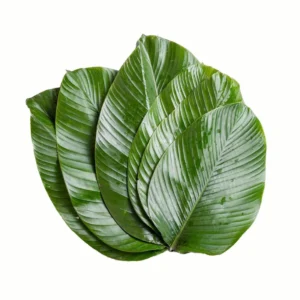 Moimoi Leaf