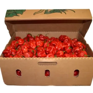 Frozen Habanero Pepper (Rodo)