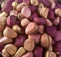 KolaNut (1 Lobe)