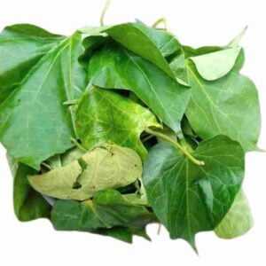 Fresh Utazi