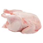 Frozen Proteins