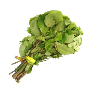 Fresh Oha - 1 bunch