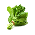 Fresh Vegetables